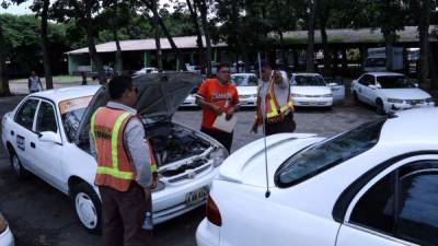 Inspectores de transporte revisan los vehículos de acuerdo a la información que presentan los conductores.