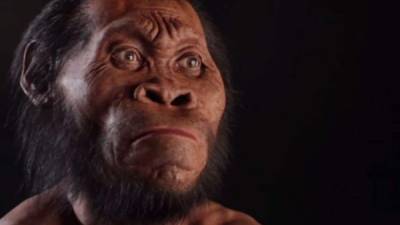 Una especie humana desconocida hasta ahora fueron descubiertos en una cueva sudafricana.