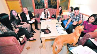 Representantes de diferentes organizaciones se reunieron para planificar las marchas.