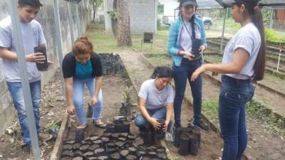 Es la primera vez que se entregará en el país el Premio Ambiental Gema.