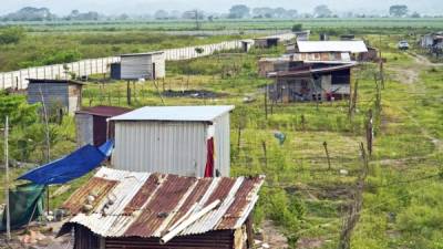 Vista de una toma irregular de una zona productiva en el sur del departamento de Cortés. Foto: Amílcar Izaguirre