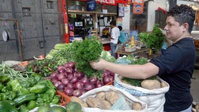 El tipo de cambio del lempira frente al dólar incide en la inflación. En la gráfica, un joven atiende un puesto de verduras en un mercado sampedrano.