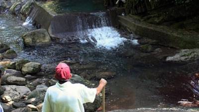 La fuente principal de agua se encuentra en la parte alta de la montaña en el municipio de Tela.