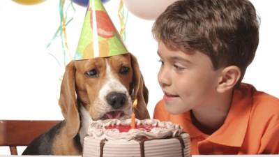 Las mascotas también merecen ser consentidas el día de su cumpleaños.