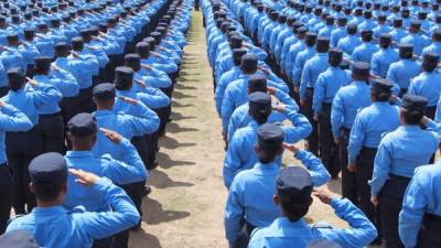 Con la depuración se han evaluado a 700 agentes de la Policía Nacional.