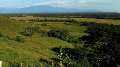 Fotografía del 18 de octubre del píe de monte llanero cerca al municipio de San Juan De Arama, Meta, Colombia. EFE