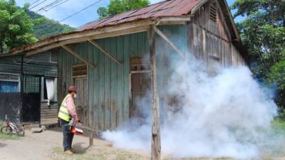 Unas 500 casas del centro del sector Chamelecón fueron fumigadas este miércoles.