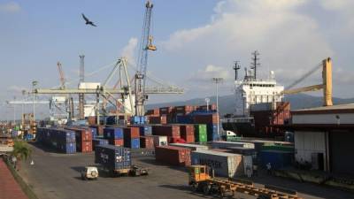 La concesión de las terminales de contenedores y graneles de Puerto Cortés está teniendo un notable efecto en los ingresos de la ENP.