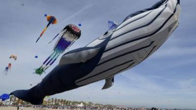 Spectators watch a giant whale kite and other kites flying during the Festival Internacional del Viento (International Festival of Wind) at Malvarrosa beach, in Valencia on April 23, 2017. / AFP PHOTO / JOSE JORDAN