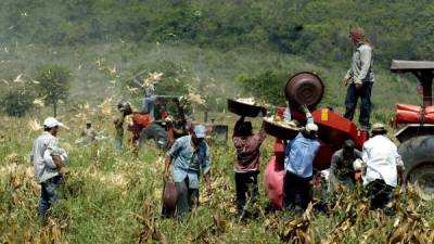 Según su tamaño, los aumentos previstos para 2015 oscilarán entre 5.3 y 8%.