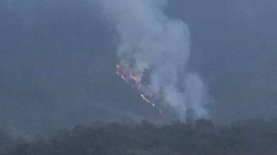 Copeco anunció que el incendio que destruyó cerca de 400 hectáreas en los bosques de El Hatillo se reinició en la tarde del viernes.