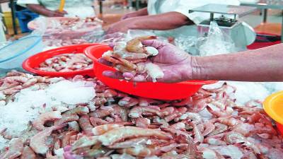<b>Las empacadoras de camarón para exportar generan empleo en la zona sur del país.</b>