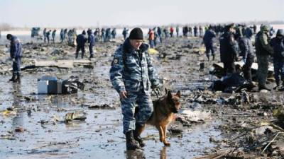 Investigadores de la policía rusa inspeccionan el lugar dónde cayó ayer el avión. EFE