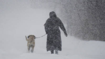 A woman walks her dog along a country road near Montreal Thursday, Dec. 27, 2012 during the first major snowstorm of winter in the region. (AP Photo/The Canadian Press, Graham Hughes)
