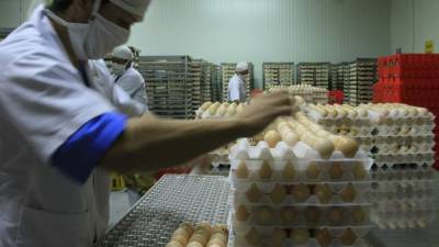 Actualmente, Honduras exporta huevo a Estados Unidos y El Salvador.