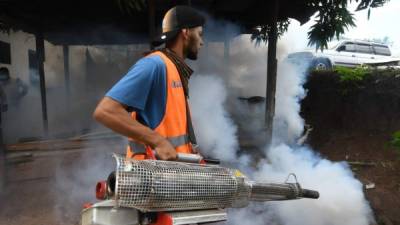 An employee of the Honduran Secretariat of Health takes part in a fumigation operation to combat Aedes aegypti, vector of the dengue fever, in Tegucigalpa on July 16, 2019. - Honduras is under national alert since July 2 for dengue fever, which left at least 51 dead this year according to authorities. (Photo by ORLANDO SIERRA / AFP)