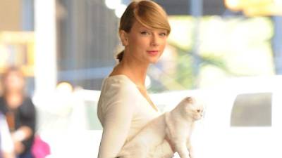 Taylor Swift con una de sus gatas.