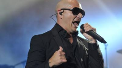 Pitbull