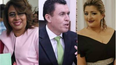 1. Ivonne Lizeth Ardón (periodista) fue postulada por la Procuraduría General y TSC. 2. Hermes Omar Moncada (abogado) fue postulado por la Presidencia y la Procuraduría. 3. Thelma Leticia Neda (abogada) ha sido propuesta por el Fonac.