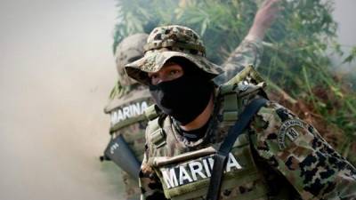 Fuerzas Especiales de la Marina de México están desplegadas en el 'Triángulo Dorado', zona donde convergen los estados de Sinaloa, Durango y Chihuahua, efectuando operaciones especiales para recapturar a Joaquín 'El Chapo' Guzmán.