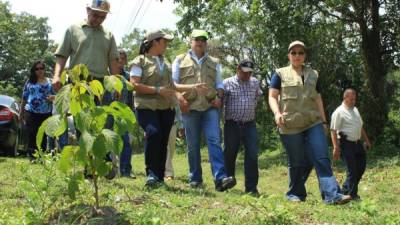 El alcalde Armando Calidonio, la vicealcaldesa Lilia Umaña y otros funcionarios plantaron árboles. Los representantes del consorcio también participaron de la actividad.
