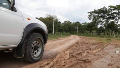 Las calles de tierra son intransitables, lo que impide que saquen el grano de los cafetales.