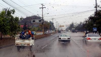 Las lluvias de los últimos días han afectado especialmente la zona central alrededor de la capital hondureña.