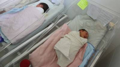 La mayoría de bebés con microcefalia son originarios de Cortés.
