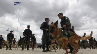 La Secretaría de Defensa y las Fuerzas Armadas son las que más recursos han recibido de la Tasa de Seguridad.