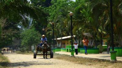 Amílcar Caballero reparte en su carreta jalada por un caballo la auténtica leche de vaca entre los vecinos. La comunidad conserva todavía oficios tradicionales como el que realiza Caballero.