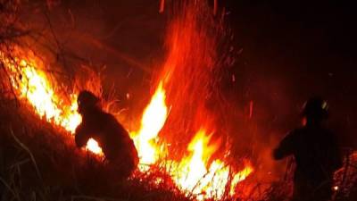 Los bomberos llegaron con tres unidades.