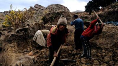 La explotación laboral infantil afecta, todavía, a un 8% de los menores de la región.