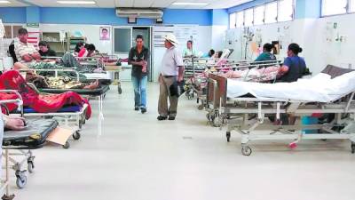 Lo importante es que la población vaya al hospital o centro de salud cuando presente los síntomas.