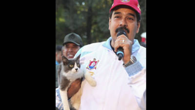 Fotografía cedida por el Palacio de Miraflores que muestra al presidente venezolano, Nicolás Maduro, sosteniendo un gato mientras pronuncia un discurso hoy, domingo 12 de enero de 2013, en Caracas (Venezuela). Maduro se comprometió a adoptar un gato abandonado durante el lanzamiento de un nuevo programa oficial para proteger a las mascotas de la calle. EFE/