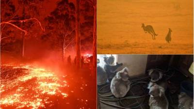 Unos 200 incendios continúan ardiendo hoy en el sureste de Australia, donde las autoridades evaluaban los daños de la 'catastrófica' jornada del sábado mientras crecían las críticas a la gestión de la crisis del primer ministro, Scott Morrison.