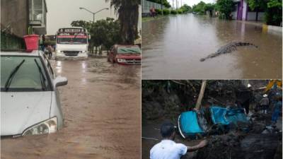 Al menos cinco personas murieron y nueve se encuentran desaparecidas después de que una fuerte lluvia azotó un poblado del estado mexicano de Michoacán (oeste) provocando el desbordamiento de un río y una represa, que llevó a varios cocodrilos a las calles de Cárdenas, informó este lunes Protección Civil.