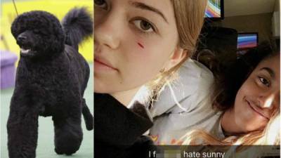La amiga de Malia tendrá una pequeña cicatriz en su rostro luego de ser atacada por la mascota de los Obama.