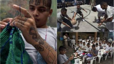 Arrepentidos de crímenes por los que purgan largas condenas, exmiembros de las pandillas Barrio 18 y Mara Salvatrucha (MS-13) buscan rehabilitarse en una prisión en el este de El Salvador, donde se capacitan en diversos oficios para salir de la vida delictiva.