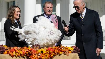 Biden indultó a dos pavos llamados “Chocolate” y “Chip” en una ceremonia en la Casa Blanca previo al Día de Acción de Gracias.