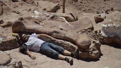 El hallazgo de los fósiles saurópodos gigantes se realizó en La Patagonia.