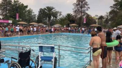 Las personas tuvieron que salir del agua y esperar la remoción del excremento para volver a entrar a la piscina.