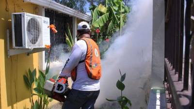 Prevención. Durante la jornada se fumigaron las viviendas y se abatizó.