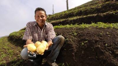 La seguridad alimentaria mundial depende del buen uso de los recursos agrícolas.