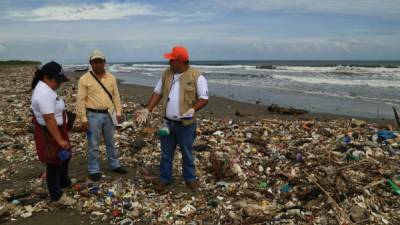 Miembros de la Fiscalía del Ambiente durante la inspección y recopilación de evidencia en la playa de Buena Vista, Omoa.