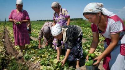 Integrantes de una familia que se dedican a la agricultura en Nicaragua.