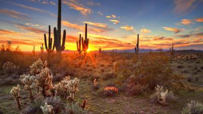 Parece desolado, pero en su interior esconde uno de los territorios con mayor biodiversidad del mundo.