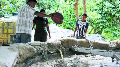 Foto: La Prensa