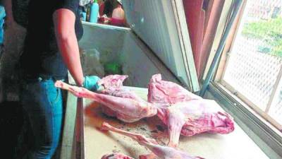 La carne decomisada en la colonia Torocagua fue enviada a un laboratorio en El Salvador.