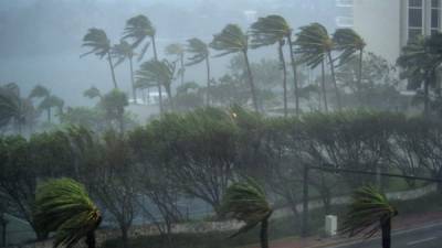 Helene, que se formó el viernes, se ubica 465 kilómetros al estesureste del extremo sur del archipiélago de las Islas de Cabo Verde, donde a partir de esta noche se esperan fuertes vientos y lluvias, con probables acumulaciones de agua de hasta 120 milímetros de altura hacia el domingo. EFE/Archivo