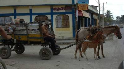 Hasta los dueños de carretas de caballos que boten basura en algunos sitios serán sancionados.